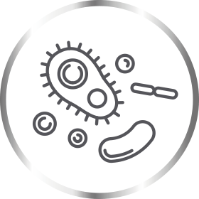 yeast-cell